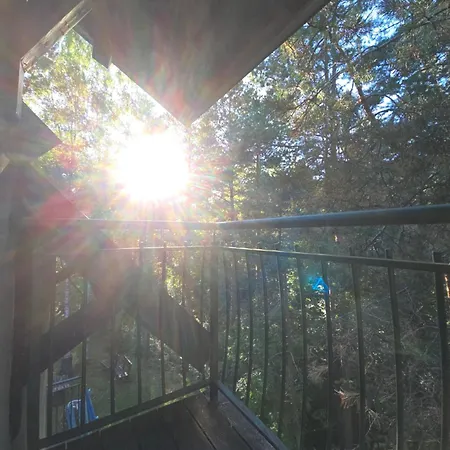 Milutinovic 3* Divčibare